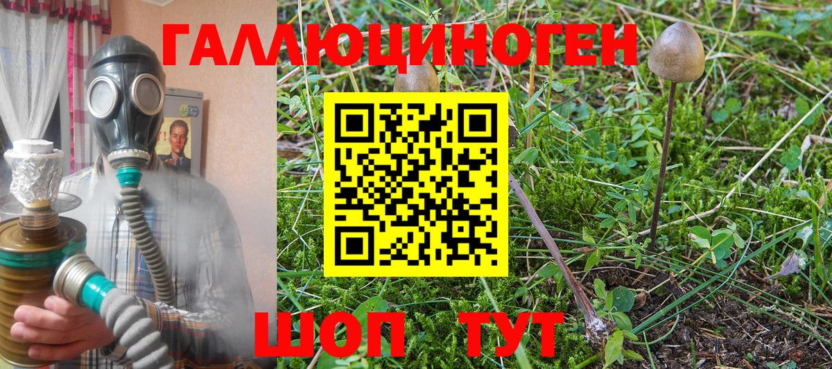 Псилоцибиновые грибы ЛСД Благовещенск