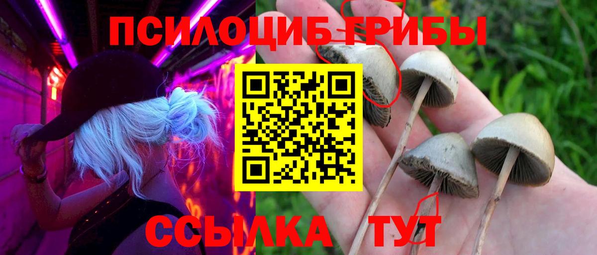 Галлюциногенные грибы мухоморы Благовещенск